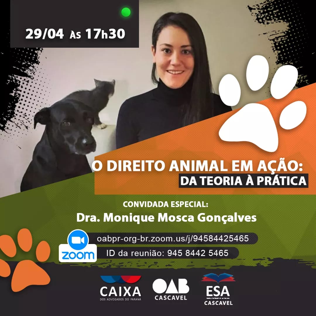 O DIREITO ANIMAL EM AÇÃO: DA TEORIA À PRÁTICA